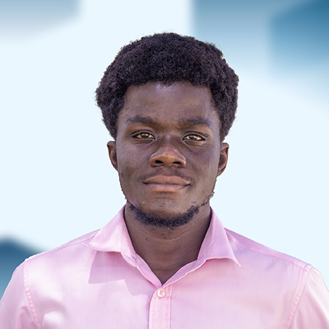 Kwabena Boateng - graphic designer at softnage